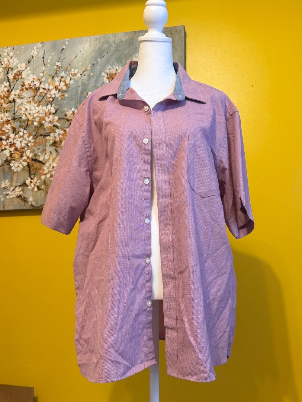 Van Heusen Short-Sleeve Button-Up Shirt